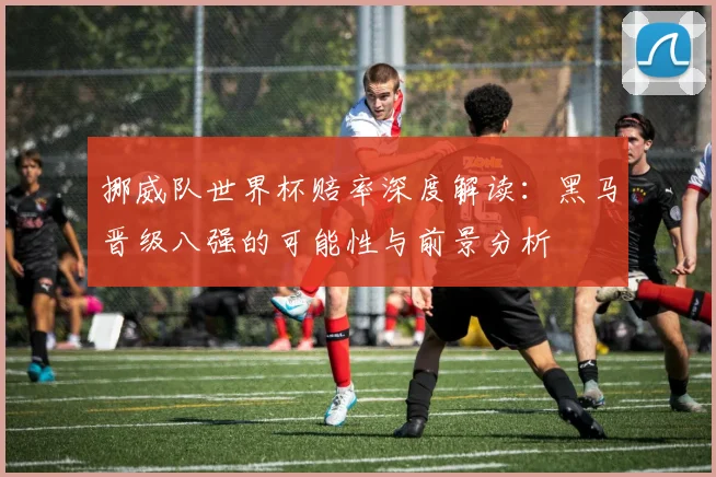 挪威队世界杯赔率深度解读:黑马晋级八强的可能性与前景分析